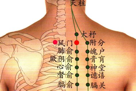 氣穴|气穴